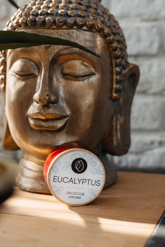 Jaczcob Candle - 160ml - Eucalyptus